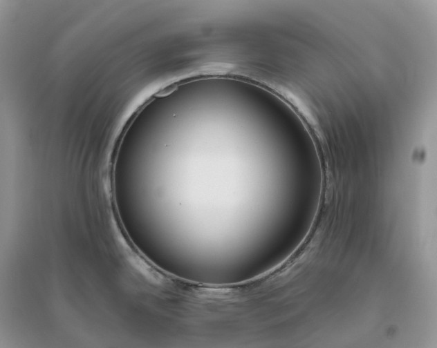 X0000096181342200802011333
