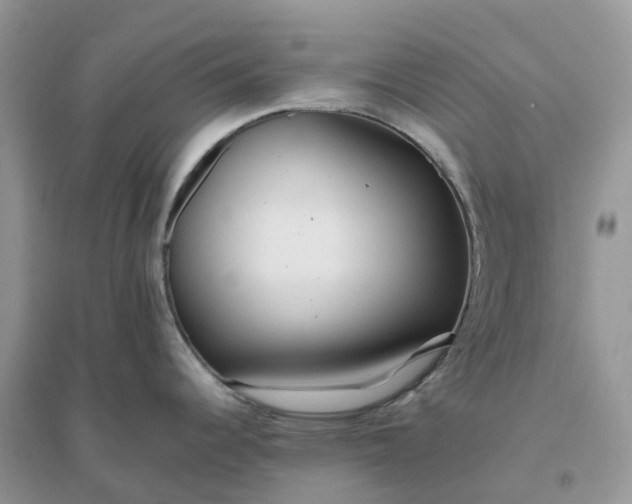 X0000096181344200802011333