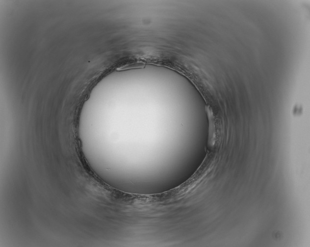 X0000096181345200802011332