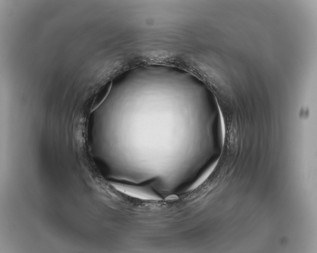 X0000096181346200802011332