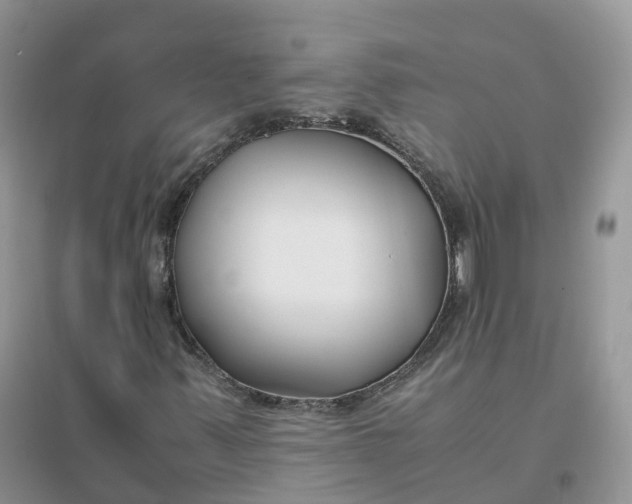 X0000096181347200802011332