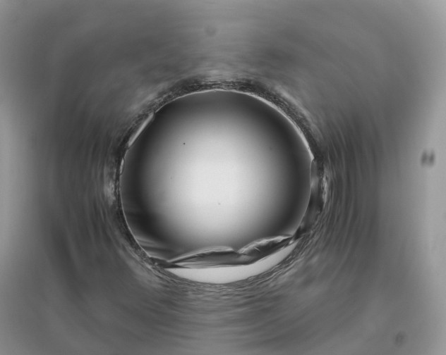 X0000096181348200802011332