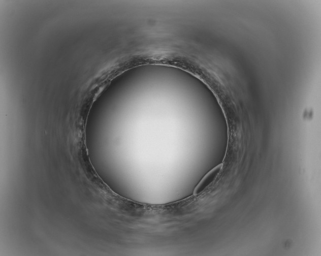 X0000096181349200802011332