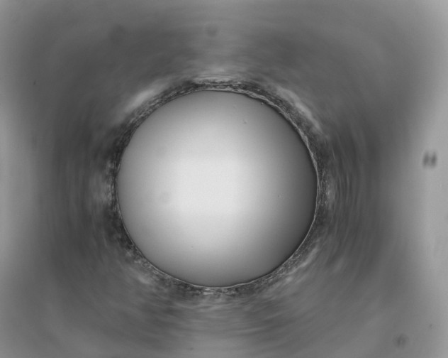X0000096181350200802011332