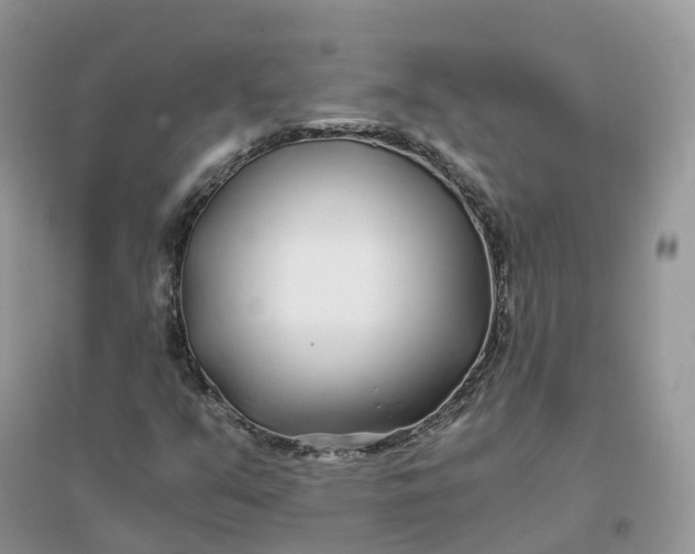 X0000096181351200802011332
