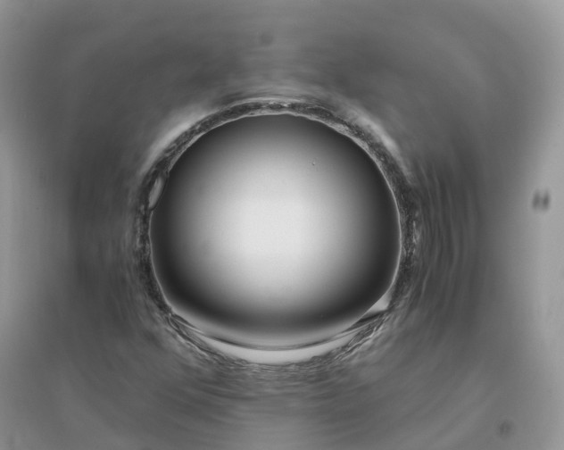 X0000096181352200802011332