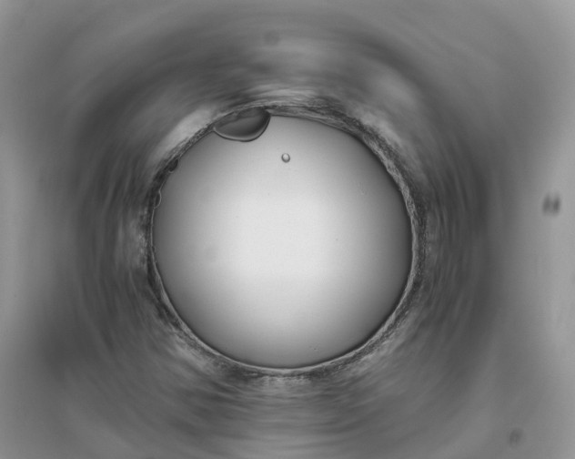 X0000096181354200802011332