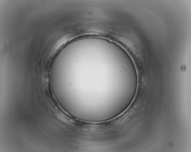 X0000096181355200802011332
