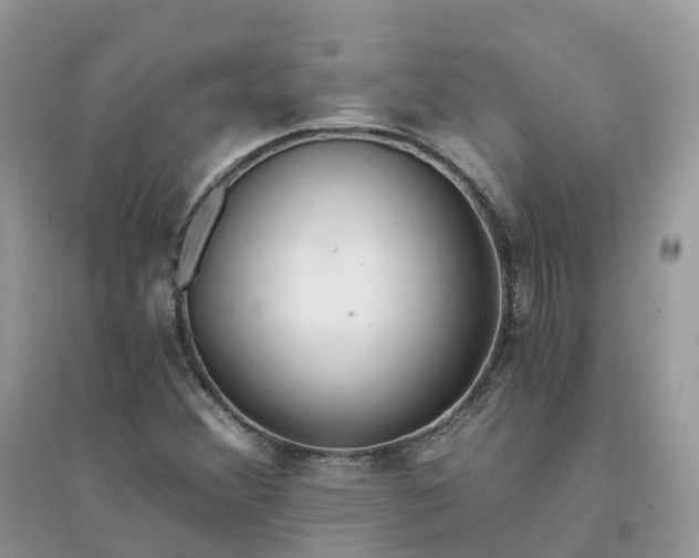 X0000096181356200802011332