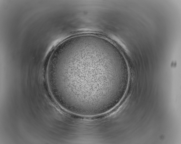 X0000096181357200802011332