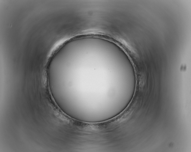 X0000096181358200802011332