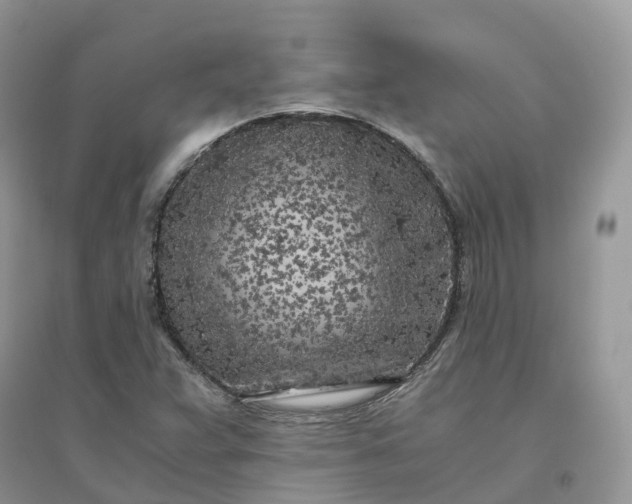 X0000096181359200802011332