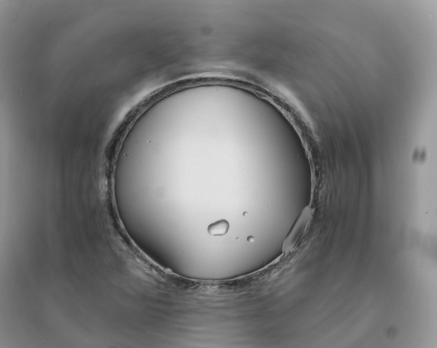 X0000096181360200802011332