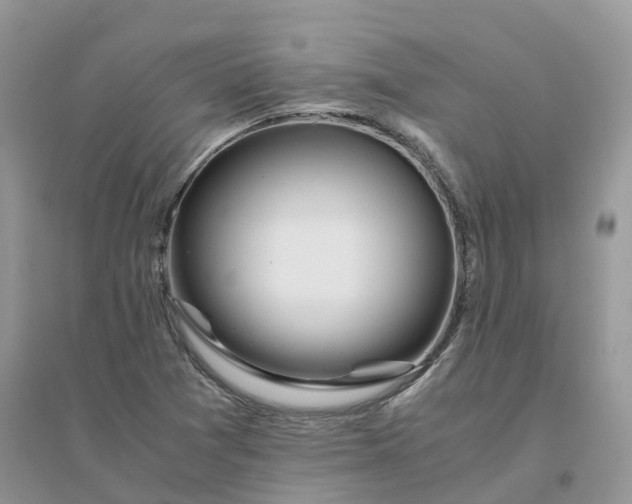 X0000096181361200802011332