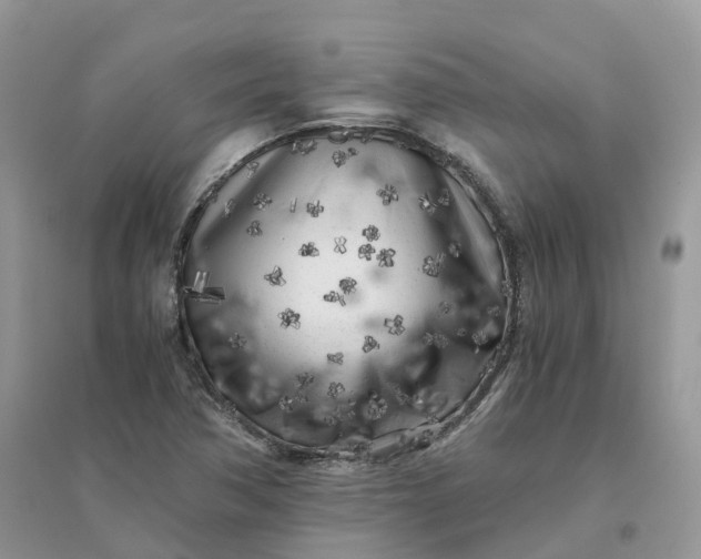X0000096181362200802011332