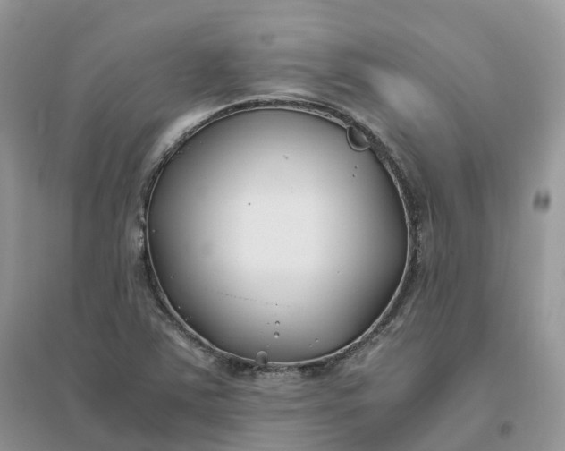 X0000096181363200802011332