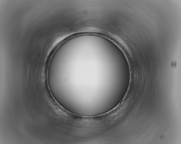 X0000096181364200802011332