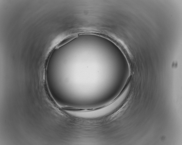 X0000096181365200802011332