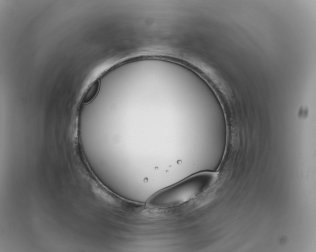 X0000096181366200802011332