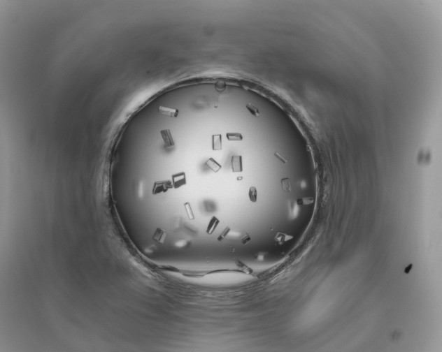 X0000096181367200802011332
