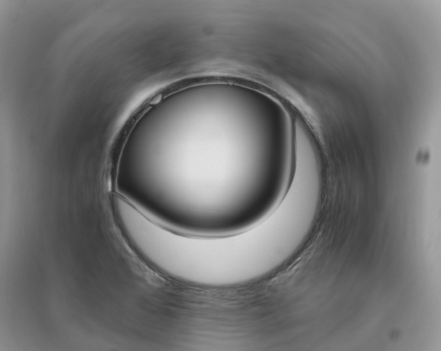 X0000096181368200802011332