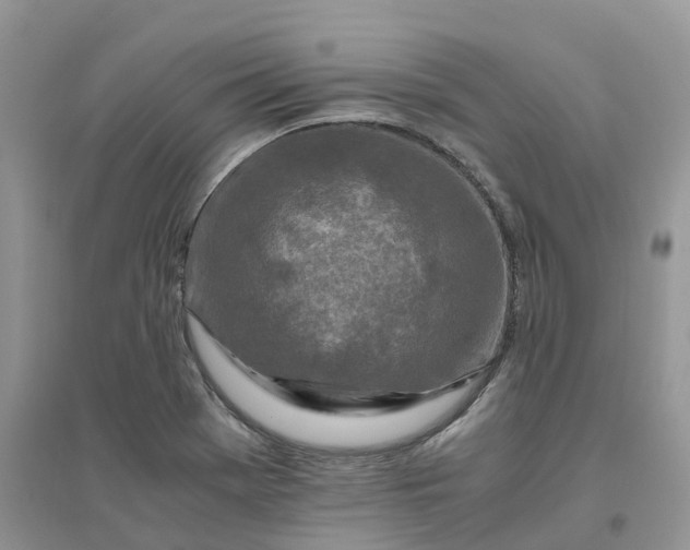 X0000096181369200802011332