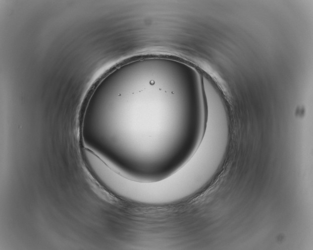 X0000096181372200802011332
