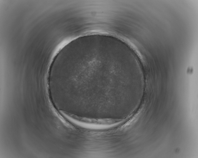 X0000096181373200802011332