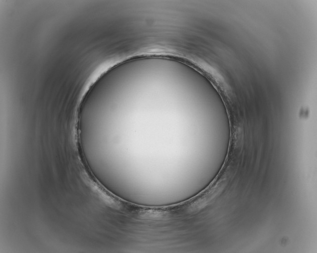 X0000096181374200802011332
