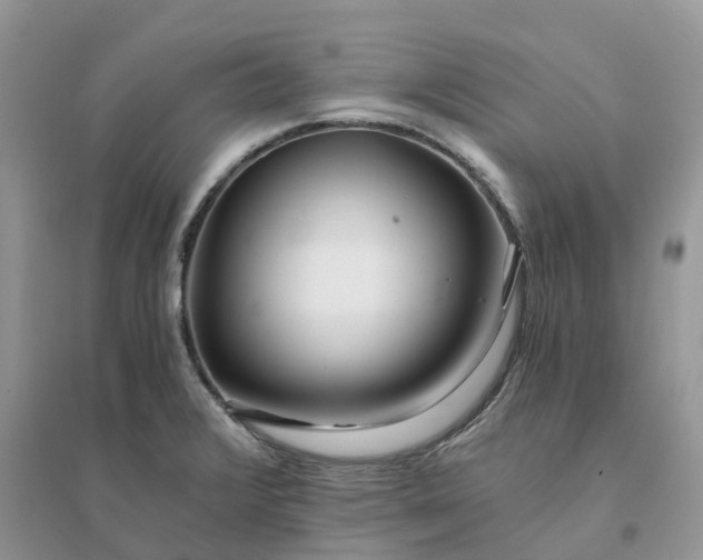 X0000096181376200802011332