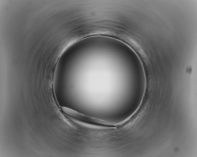 X0000096181377200802011332