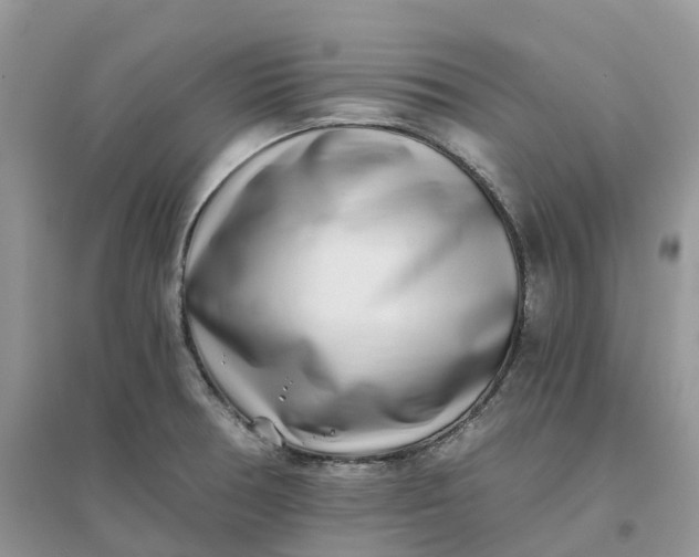 X0000096181378200802011332
