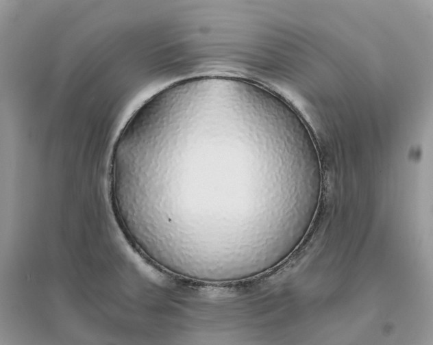 X0000096181379200802011332