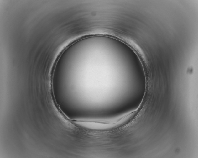 X0000096181380200802011332