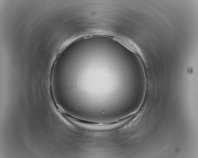 X0000096181381200802011332