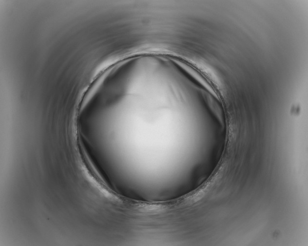 X0000096181382200802011332
