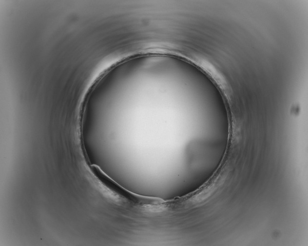X0000096181384200802011332