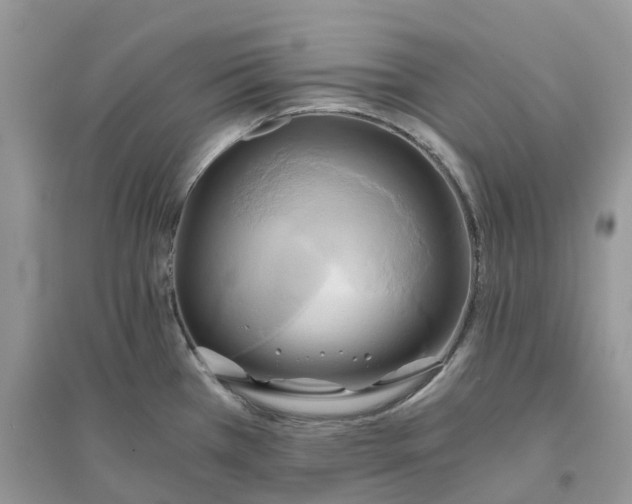 X0000096181385200802011332
