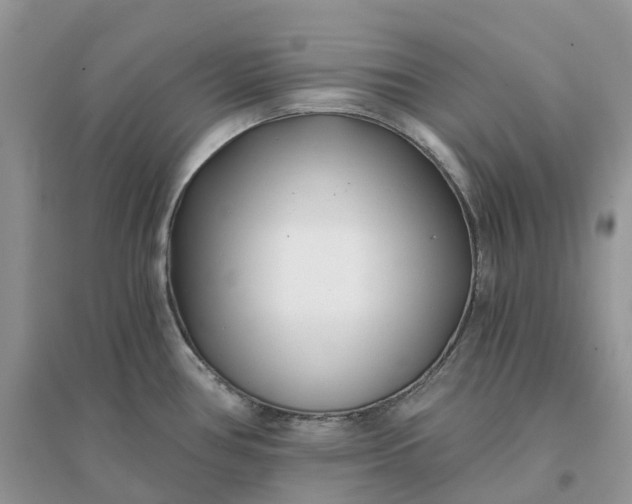 X0000096181386200802011332