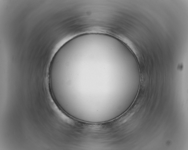 X0000096181387200802011332