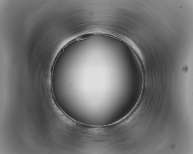 X0000096181388200802011332