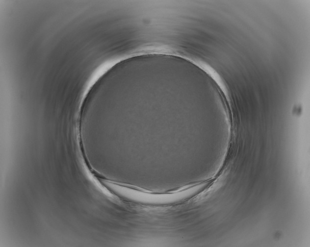 X0000096181389200802011332
