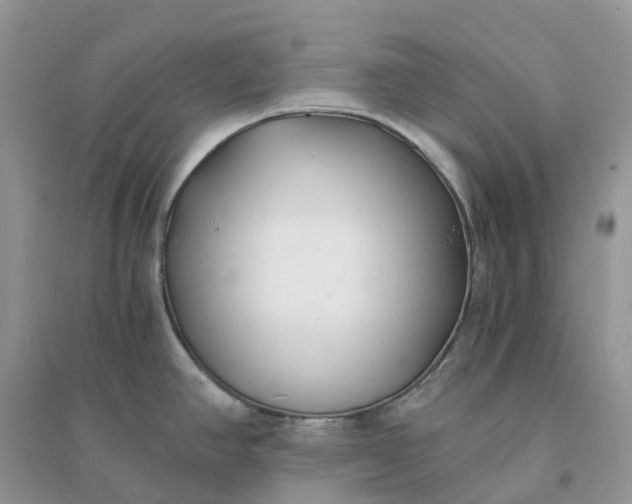 X0000096181390200802011332