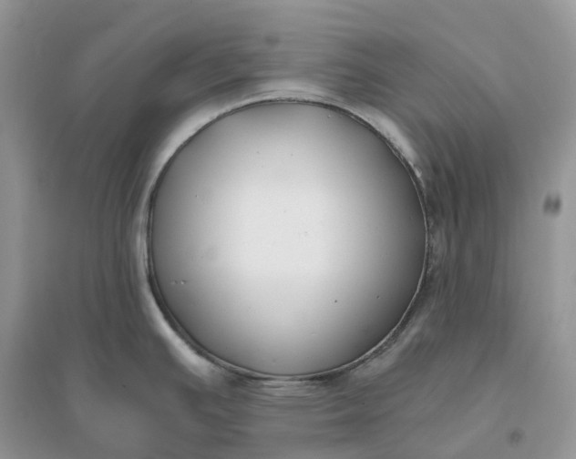 X0000096181391200802011332