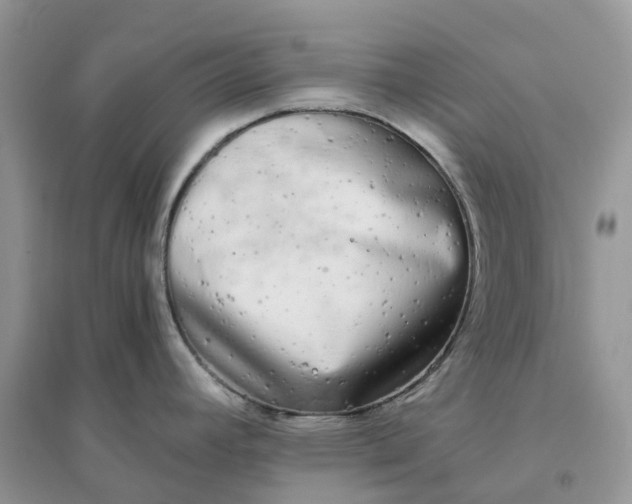 X0000096181392200802011332