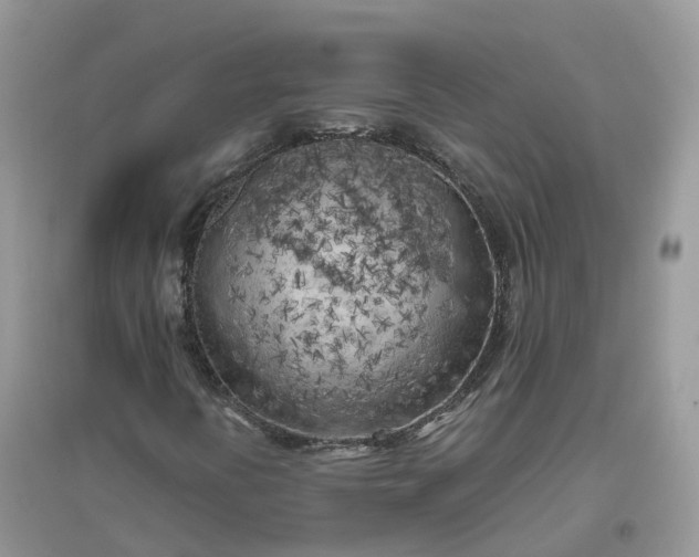 X0000096181394200802011331
