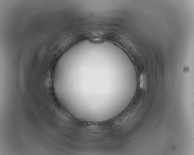 X0000096181395200802011331
