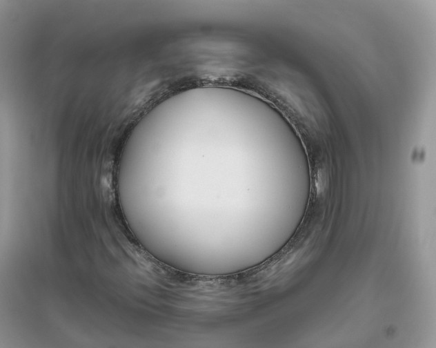 X0000096181396200802011331