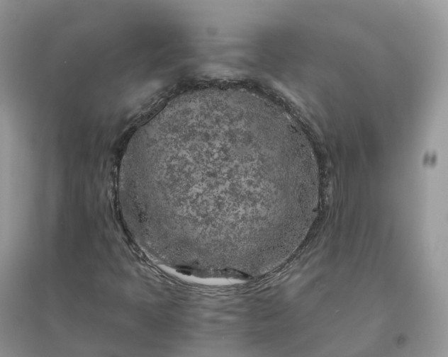 X0000096181397200802011331