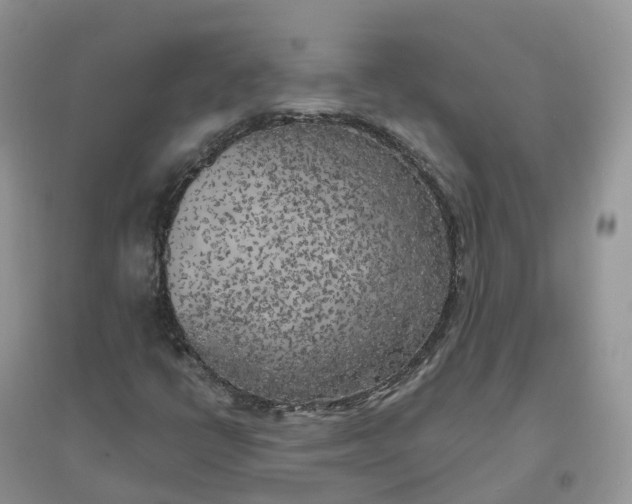 X0000096181398200802011331